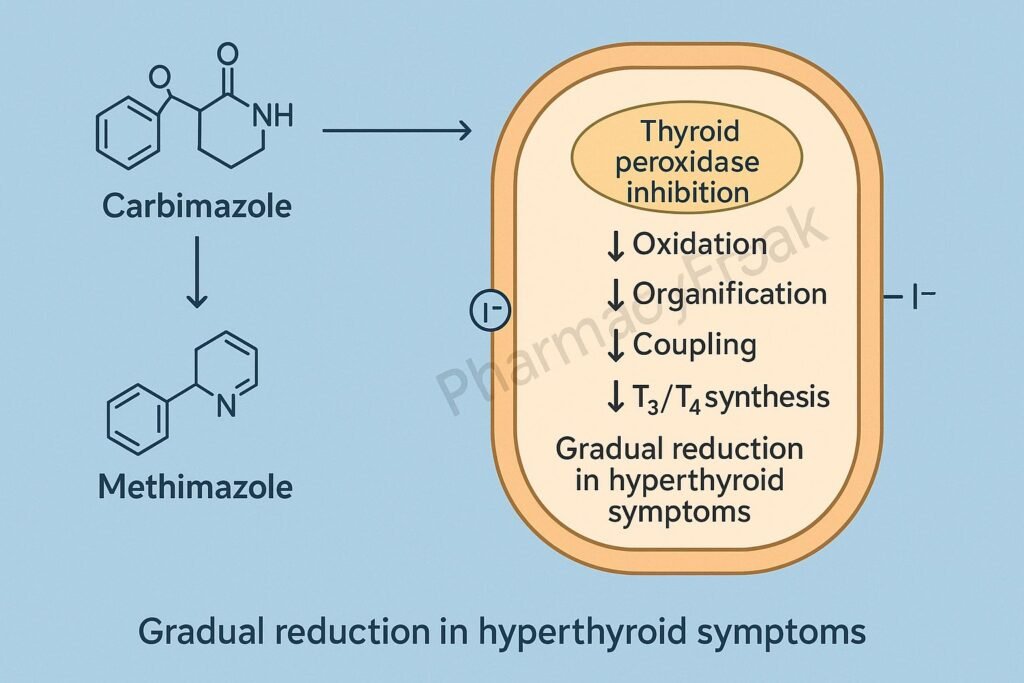 Mechanism of Action of Carbimazole