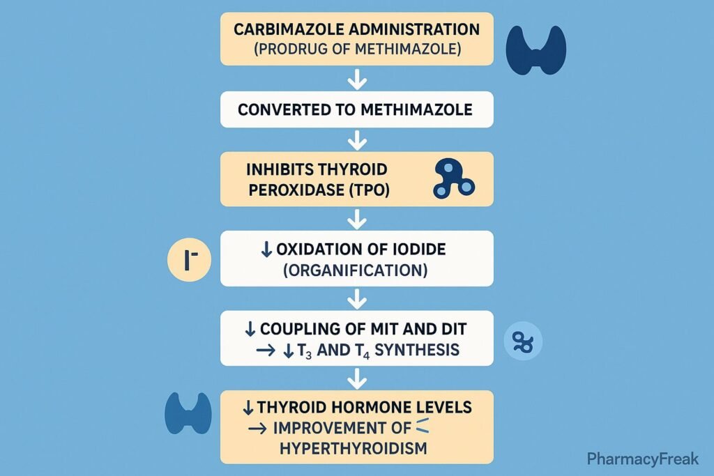 Stepwise mechanism of action of Carbimazole
