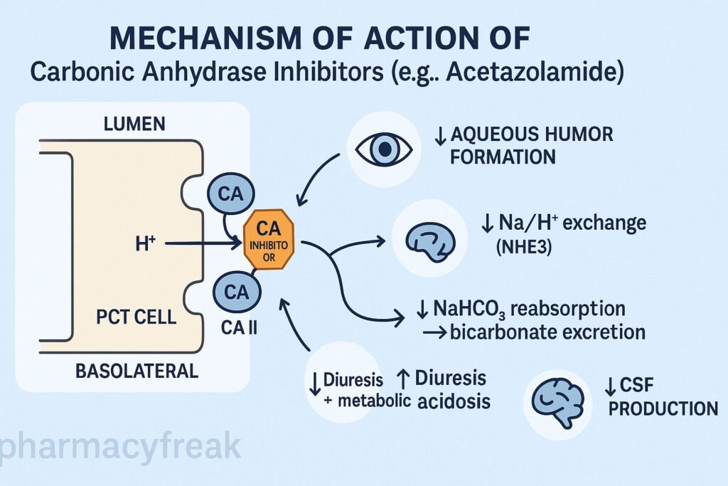 Carbonic anhydrase inhibition in PCT