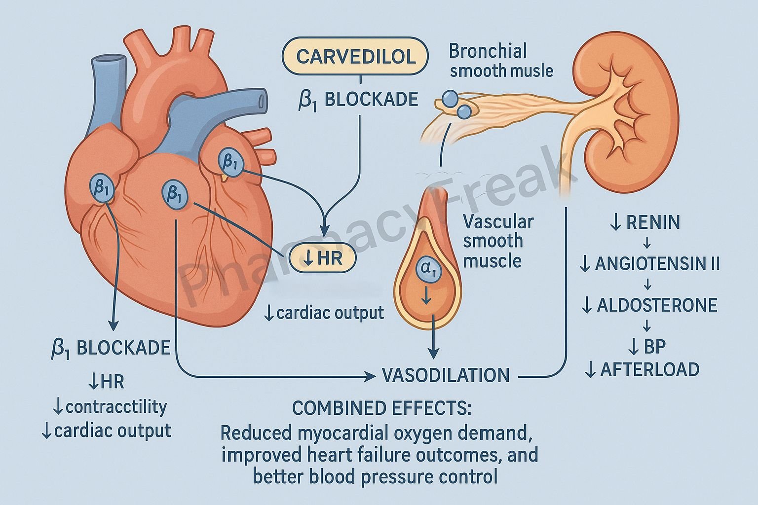 MOA of Carvedilol