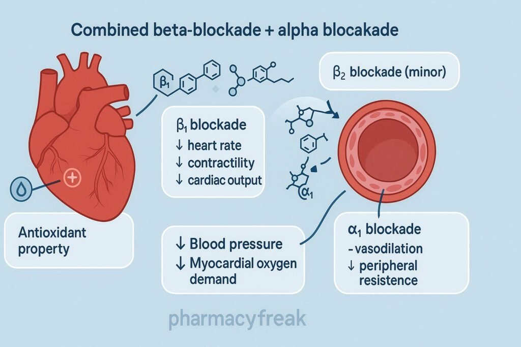 Mechanism of action of Carvedilol