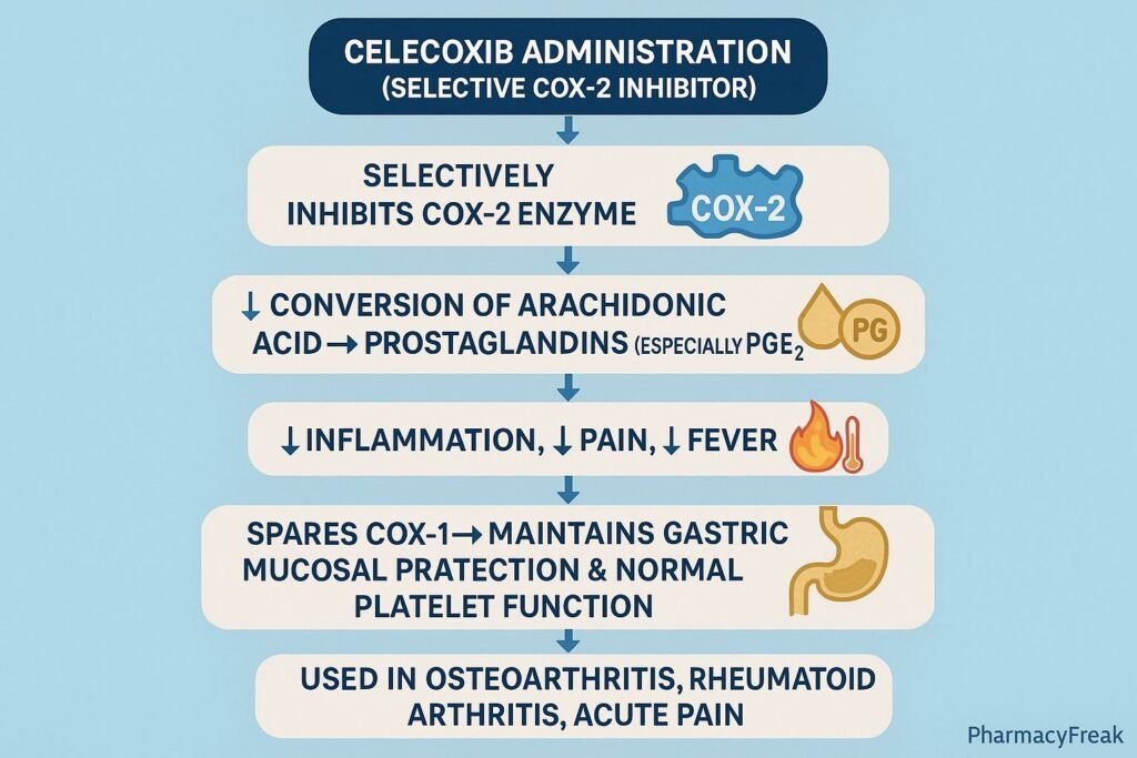 Stepwise mechanism of action of Celecoxib