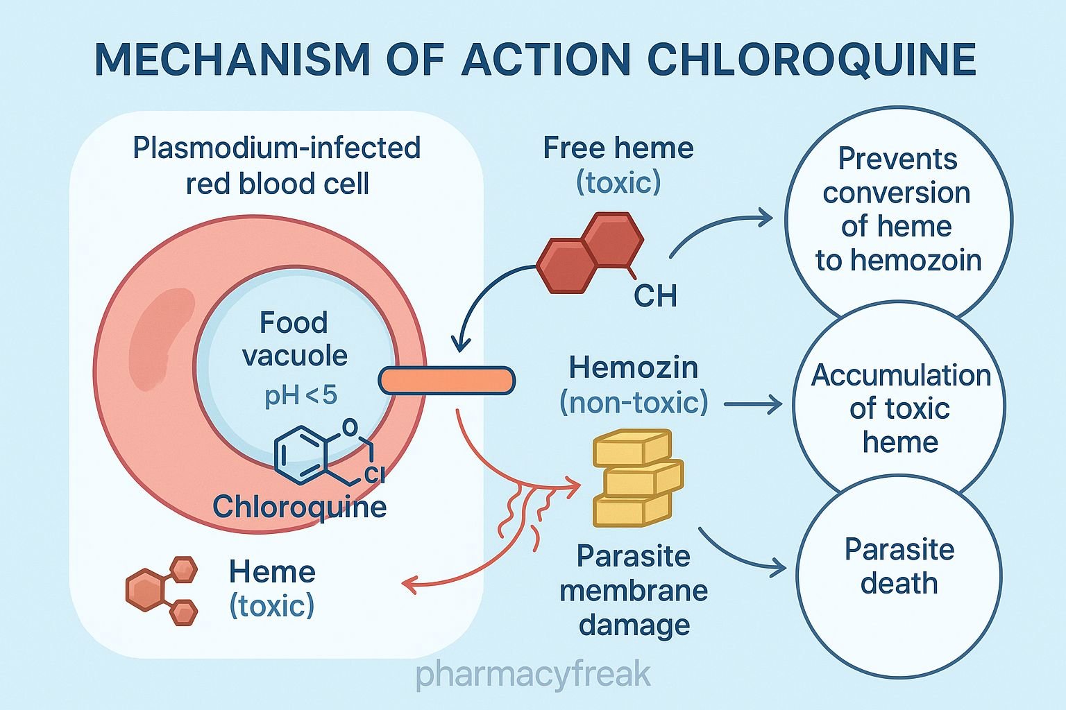 MOA of Chloroquine