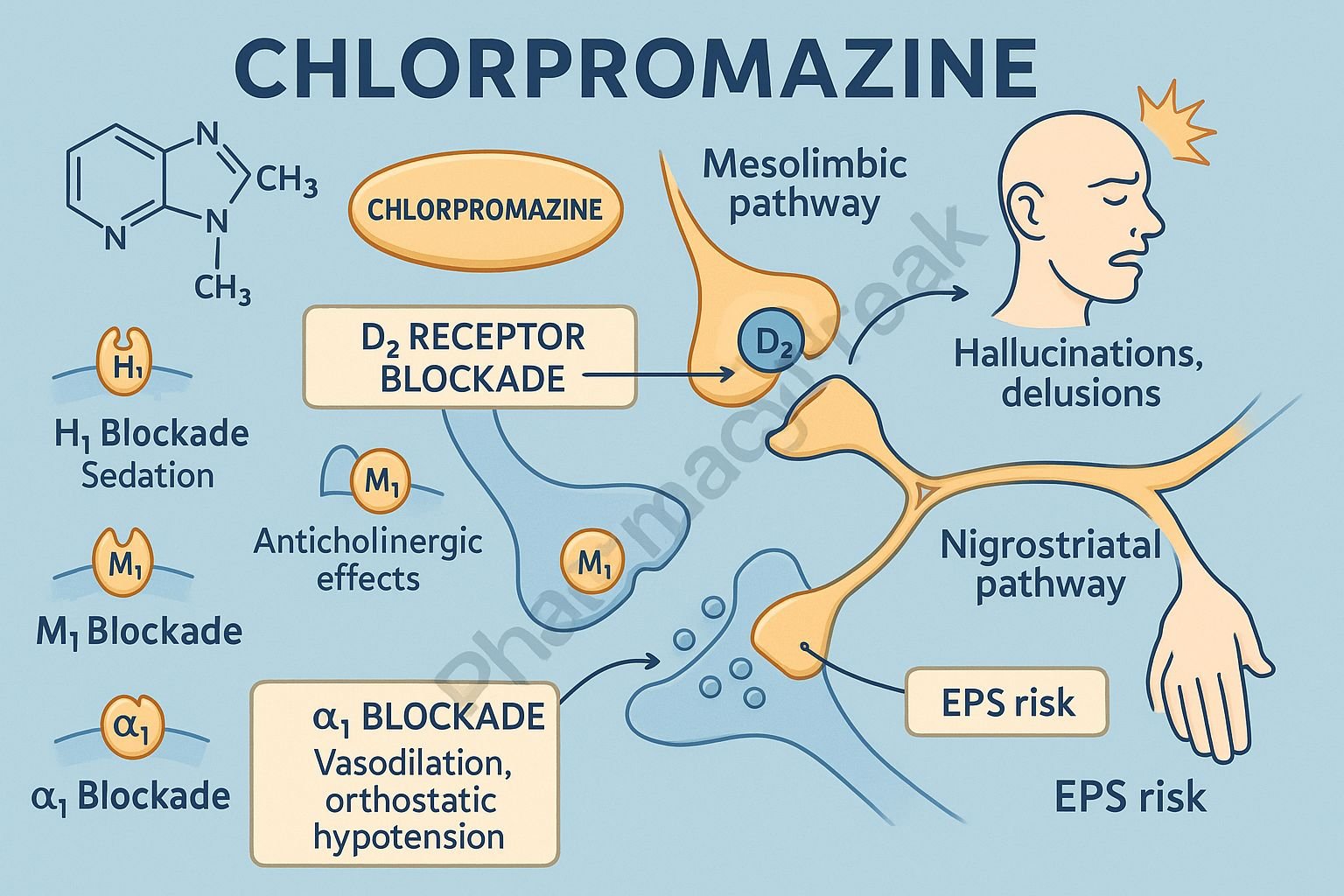 Chlorpromazine D2 receptor blockade