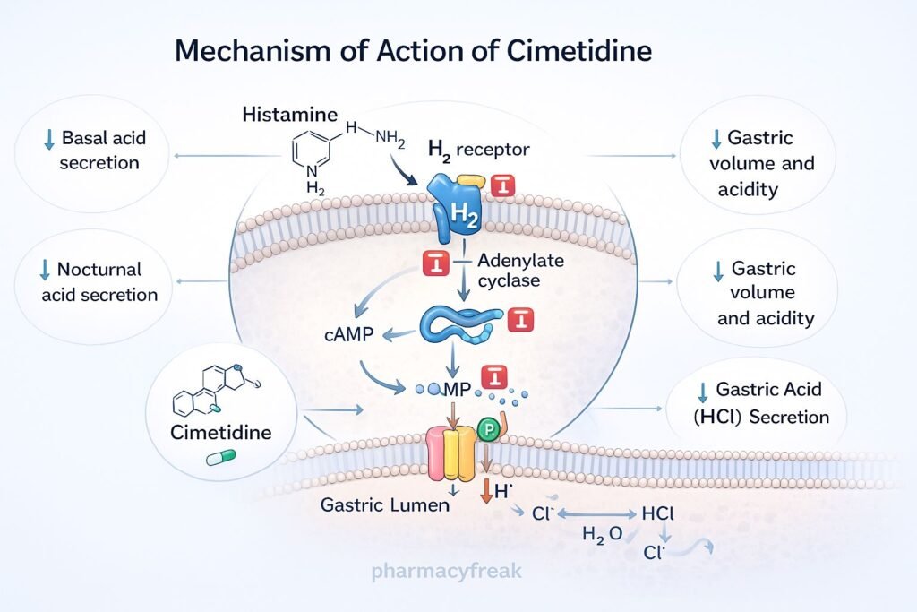 Mechanism of action of cimetidine
