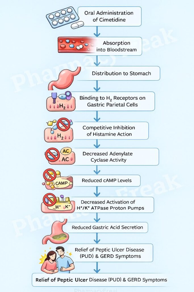 Cimetidine Mechanism of Action Flowchart