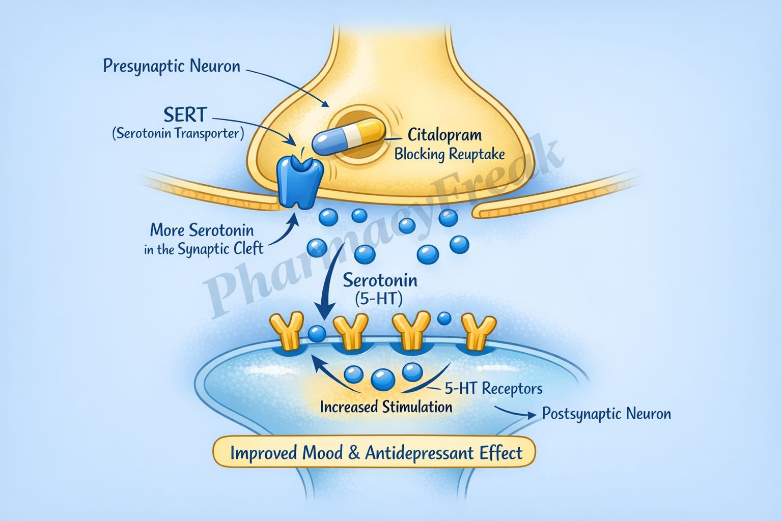 MOA of citalopram