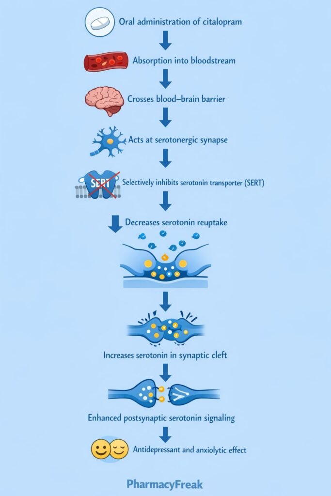 Citalopram Mechanism of Action Flowchart