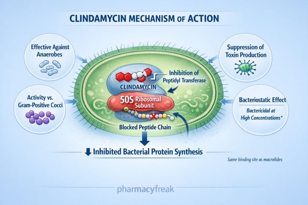 MOA of clindamycin