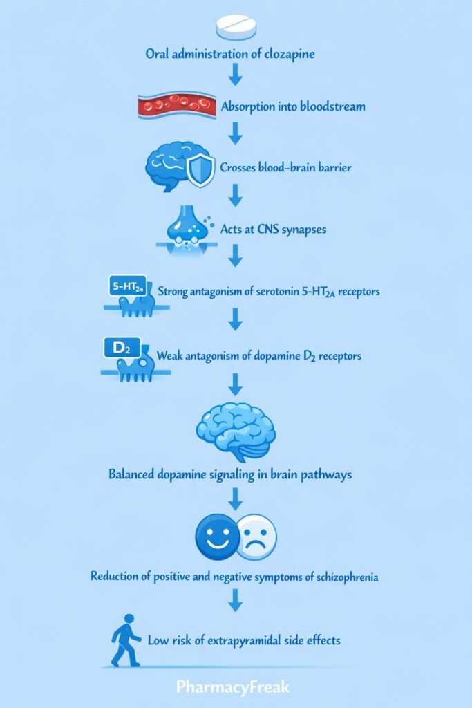 Clozapine Mechanism of Action Flowchart