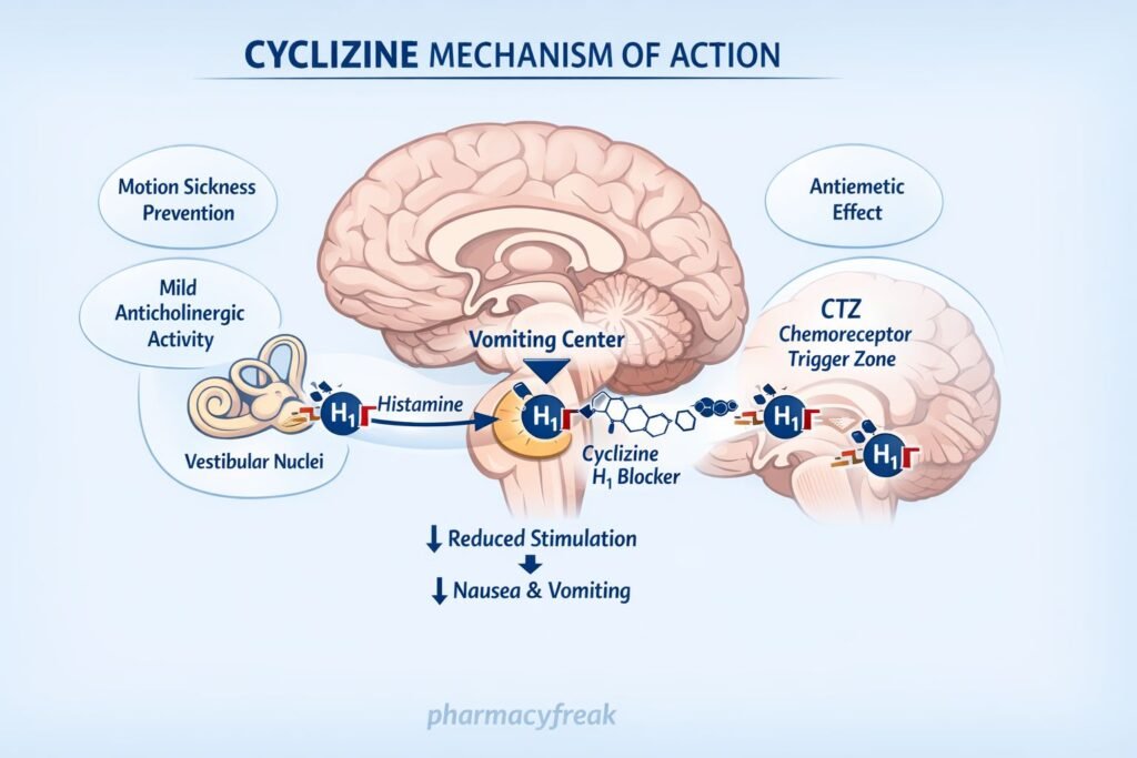 Mechanism of action of cyclizine