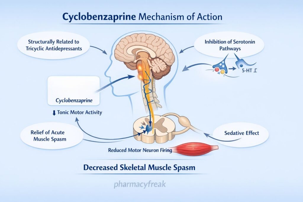 Cyclobenzaprine pharmacology