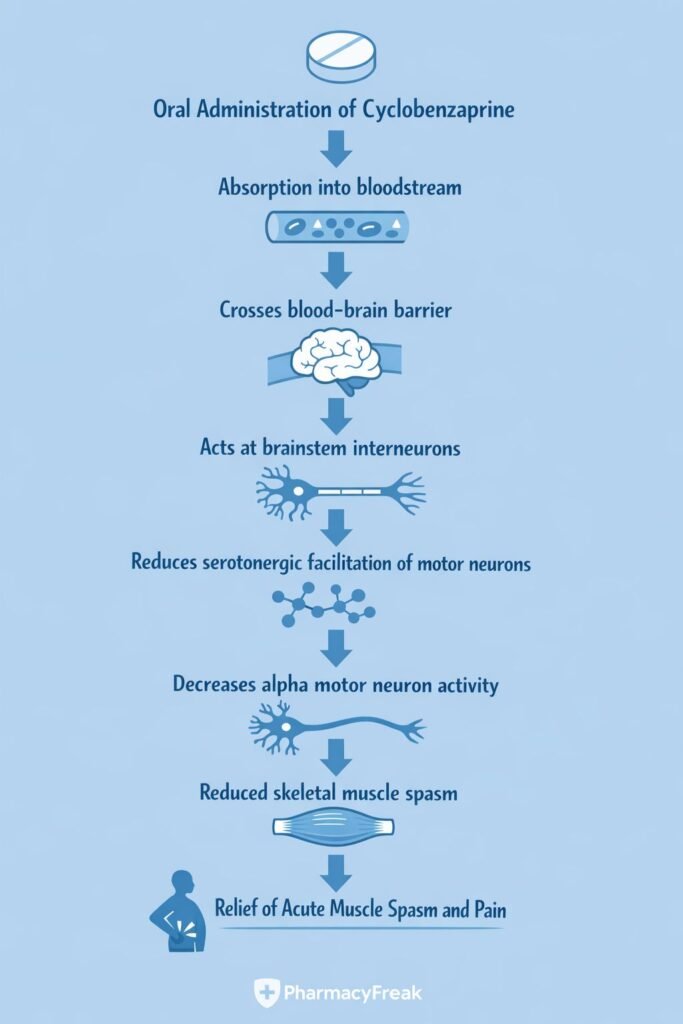 Stepwise mechanism of action of cyclobenzaprine