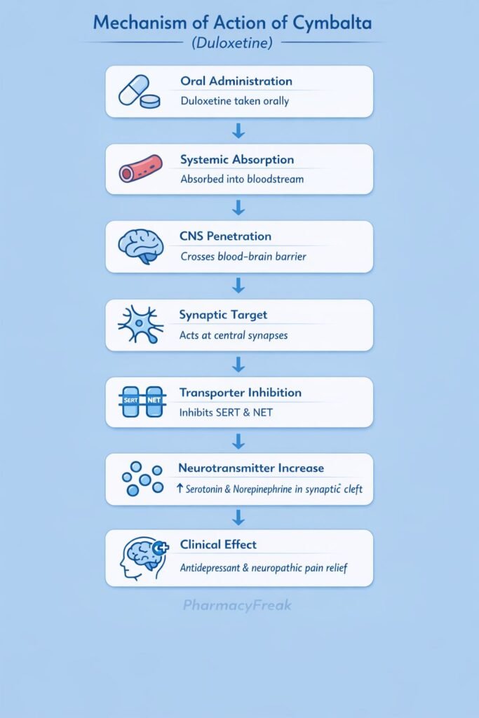 Cymbalta Mechanism of Action Flowchart