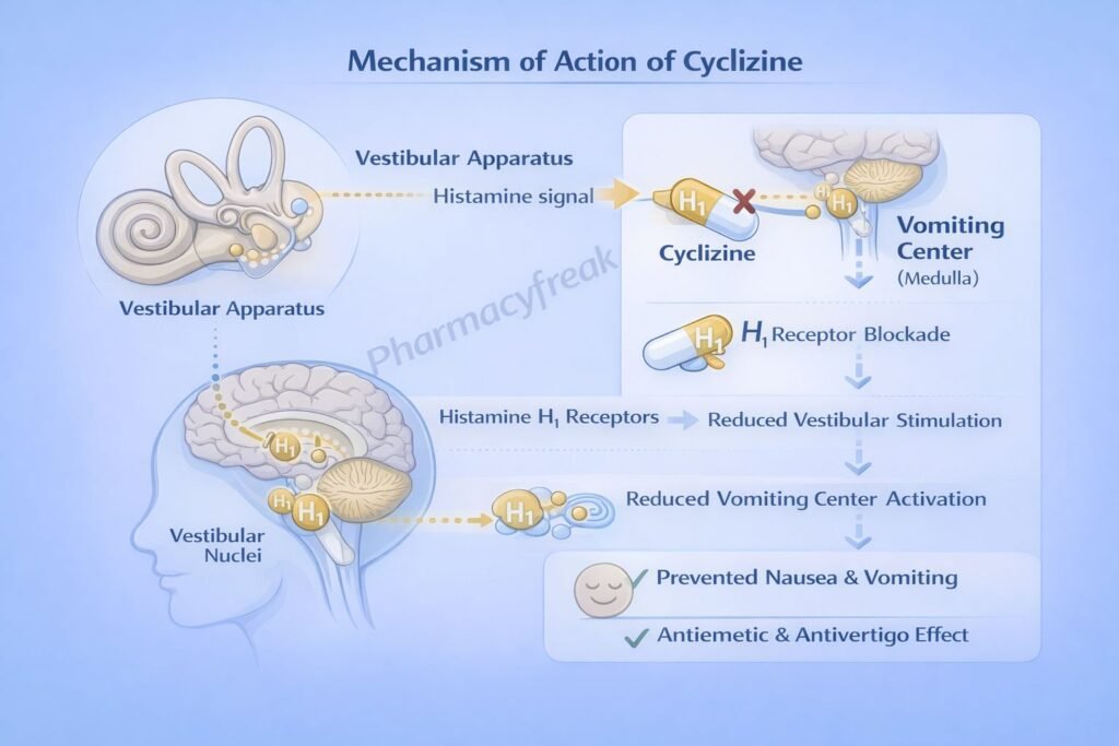 Cyclizine pharmacology