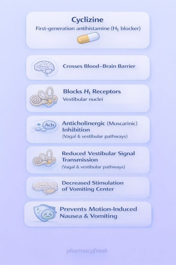 Cyclizine Mechanism of Action Flowchart