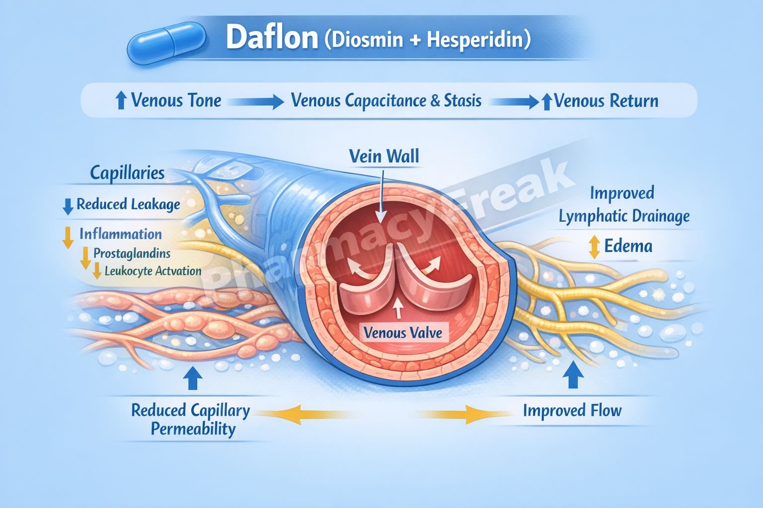 Mechanism of Action of Daflon