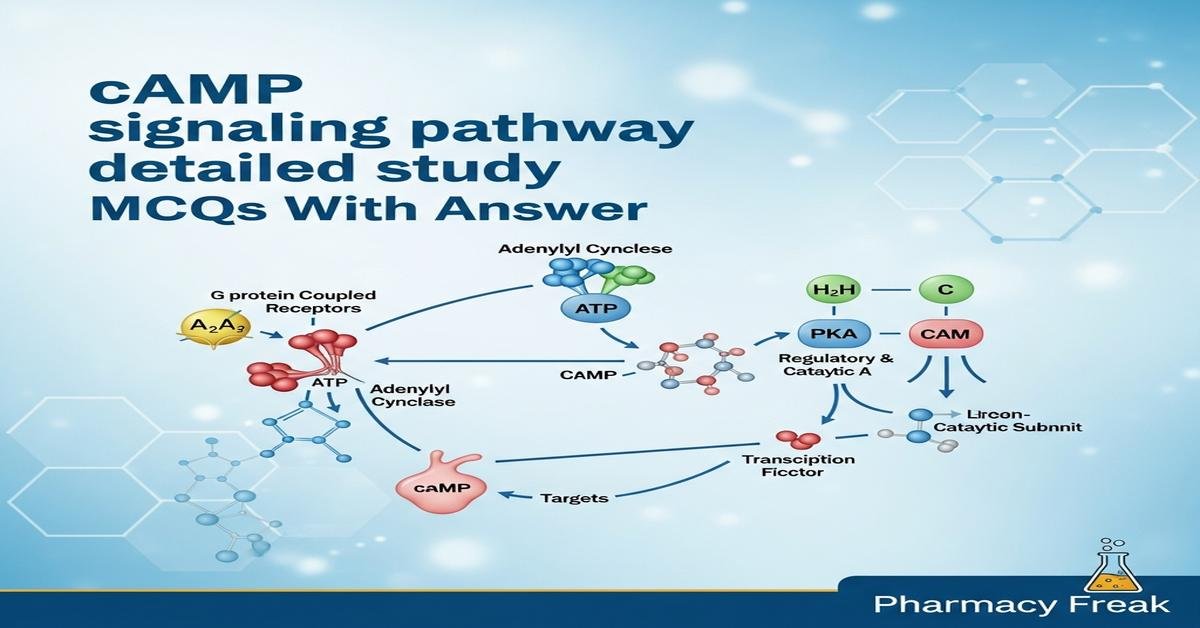 cAMP signaling pathway detailed study MCQs With Answer