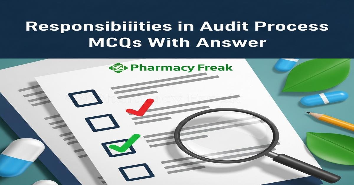 Responsibilities in audit process MCQs With Answer