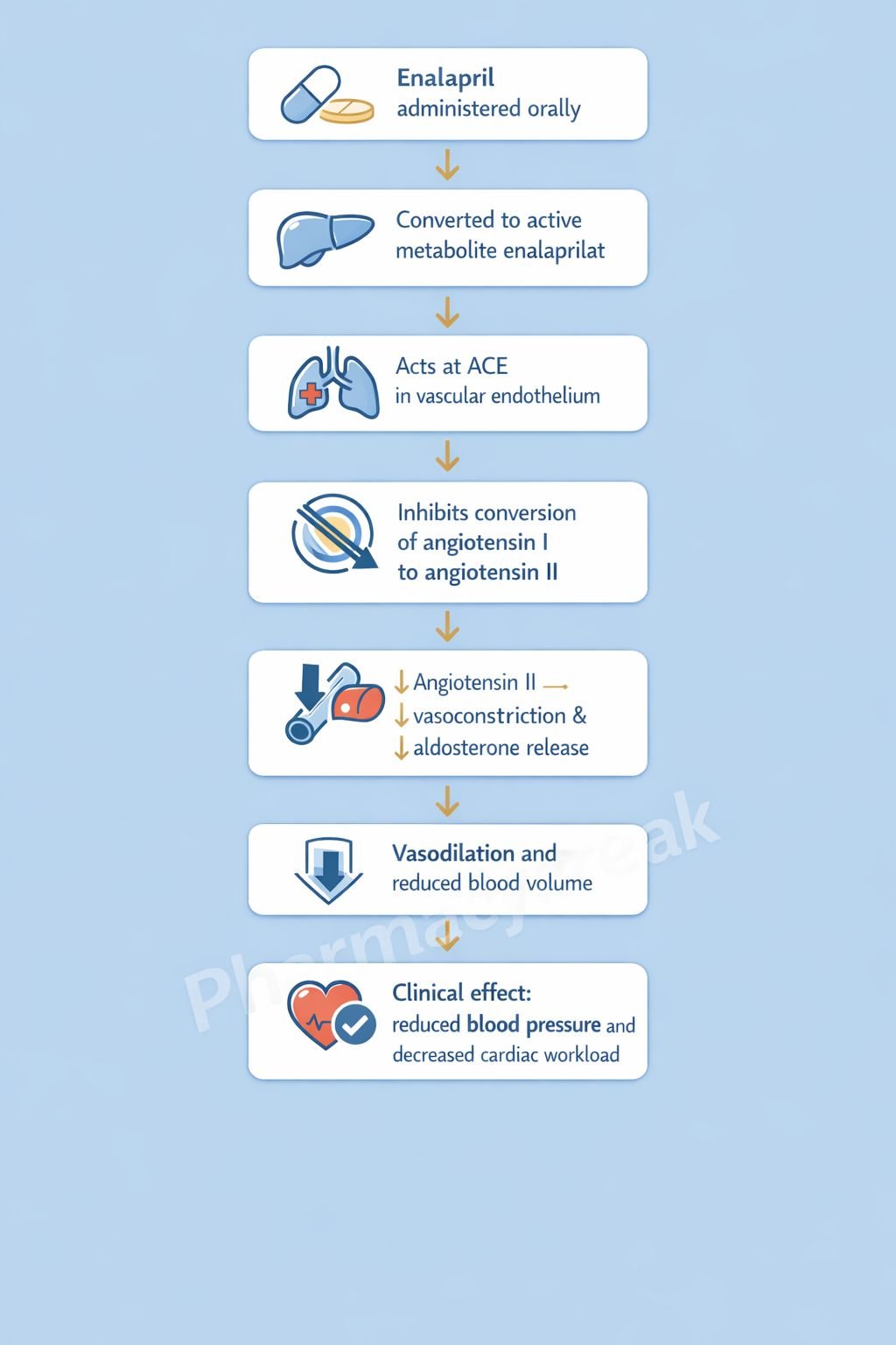 mechanism-of-action-of-enalapril