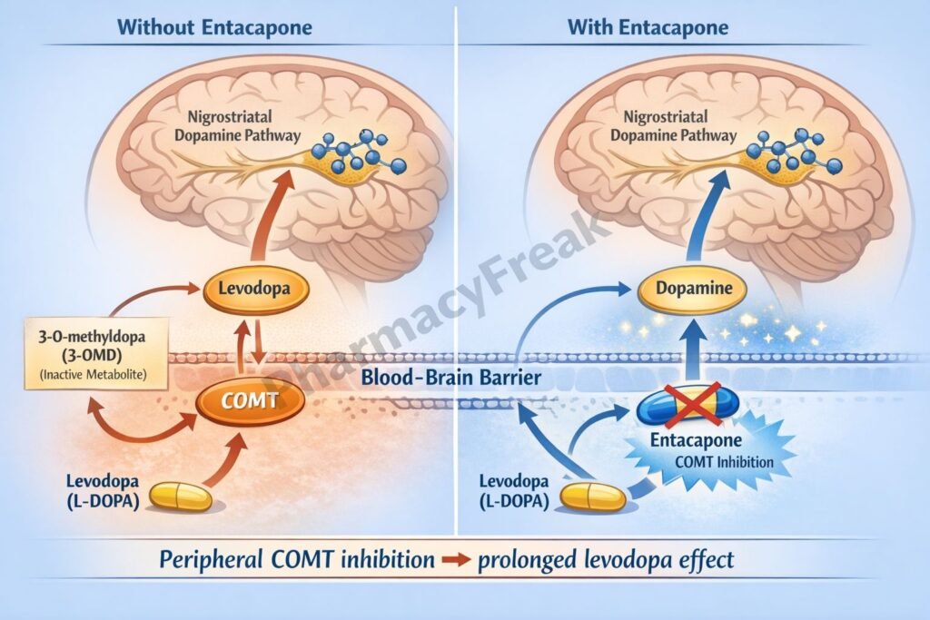 Entacapone pharmacology