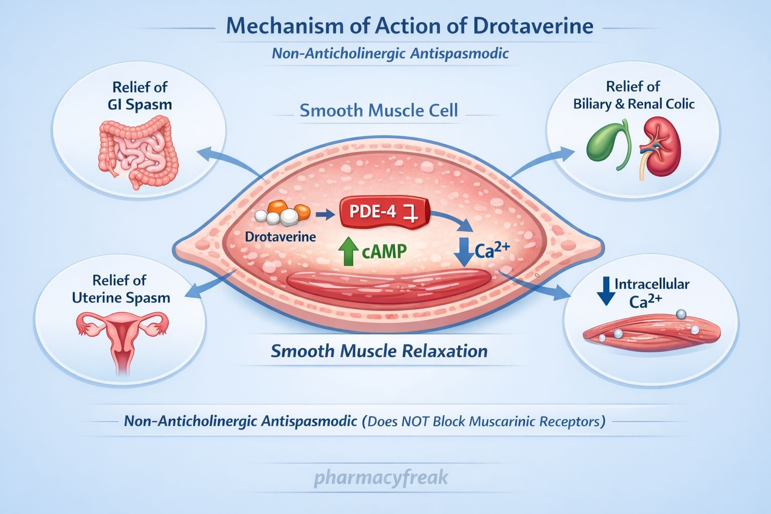 MOA of drotaverine
