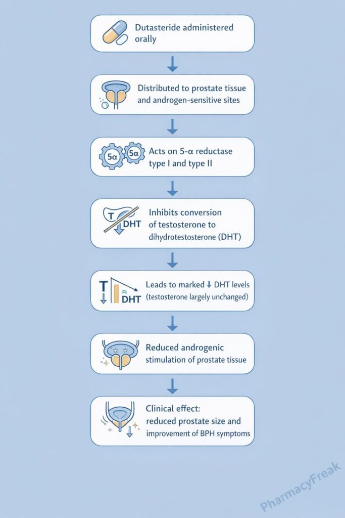 Dutasteride Mechanism of Action Flowchart