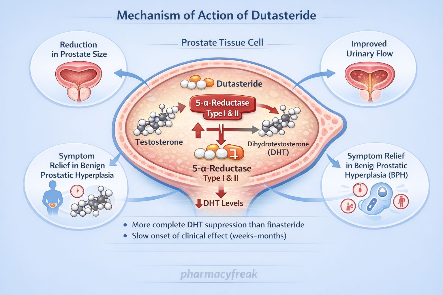 Mechanism of Action of Dutasteride