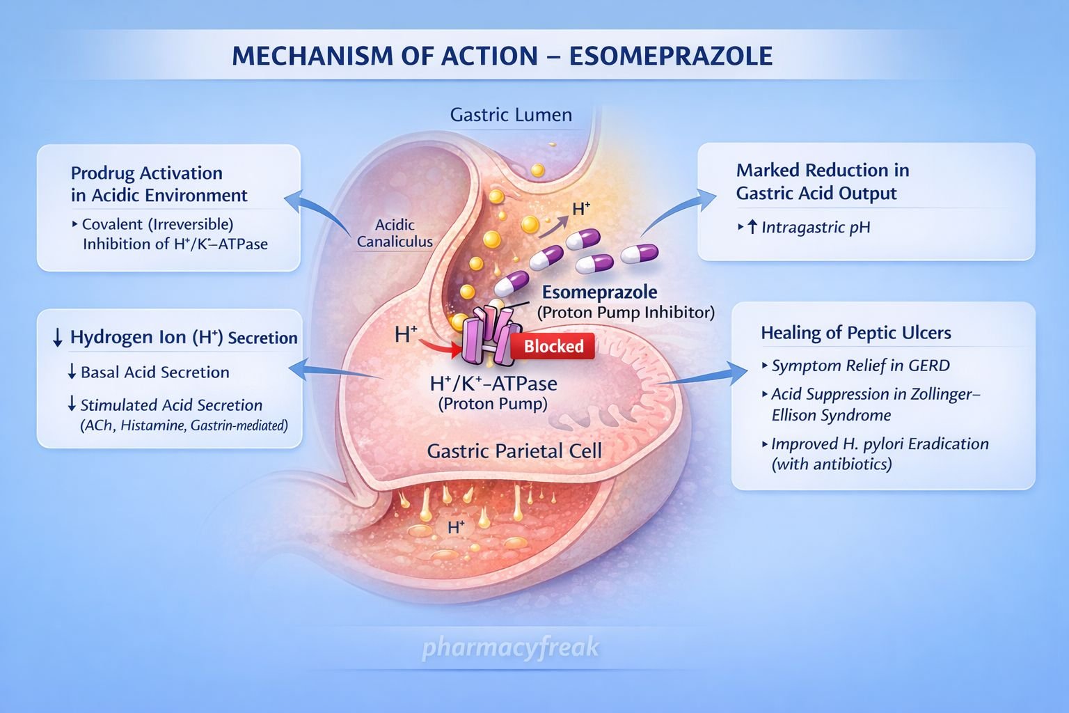 Mechanism of Action of Esomeprazole