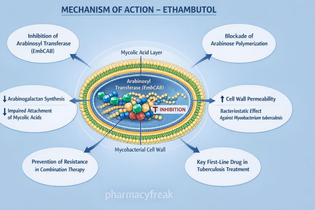 MOA of Ethambutol