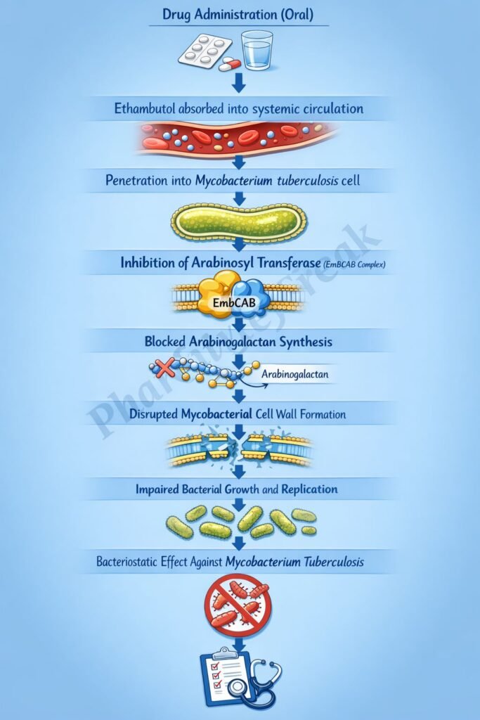 Mechanism of action of drugs flowchart