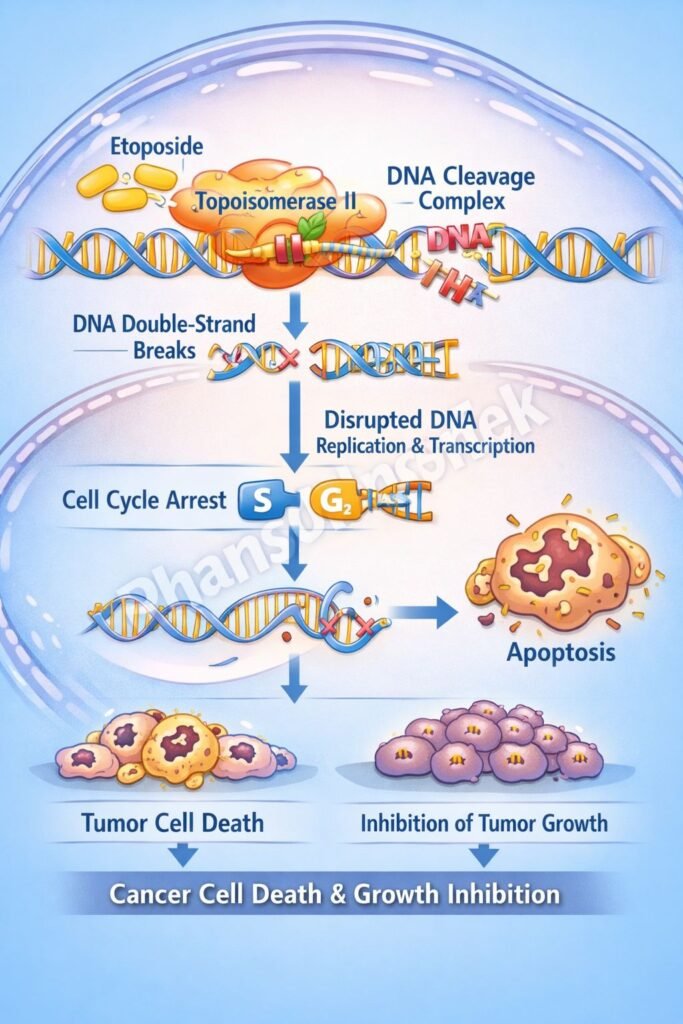 Mechanism of action of drugs flowchart