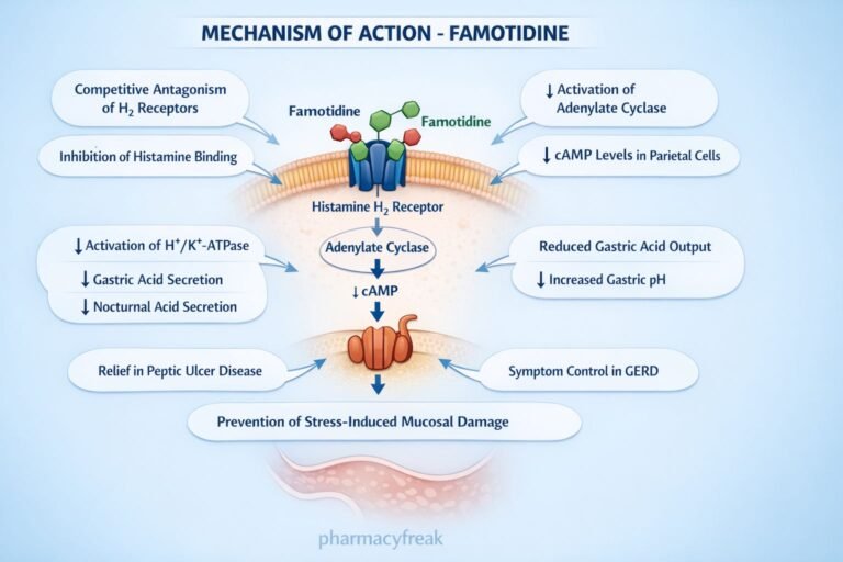 Mechanism of Action of Famotidine