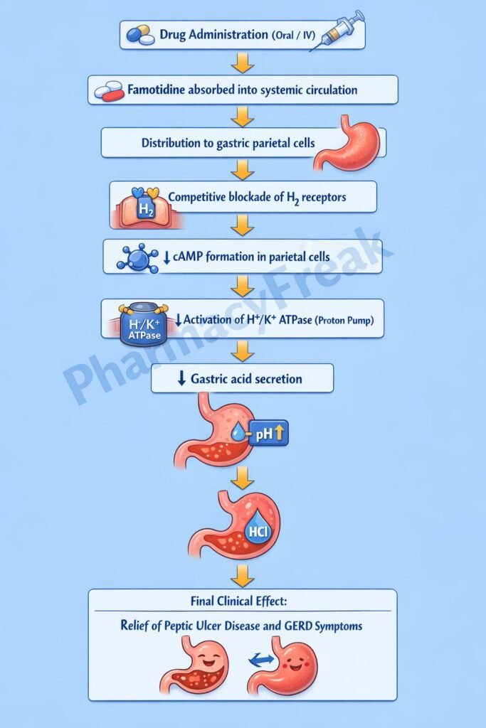 Mechanism of action of drugs flowchart
