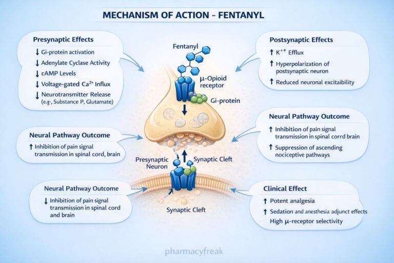 Mechanism of Action of Fentanyl