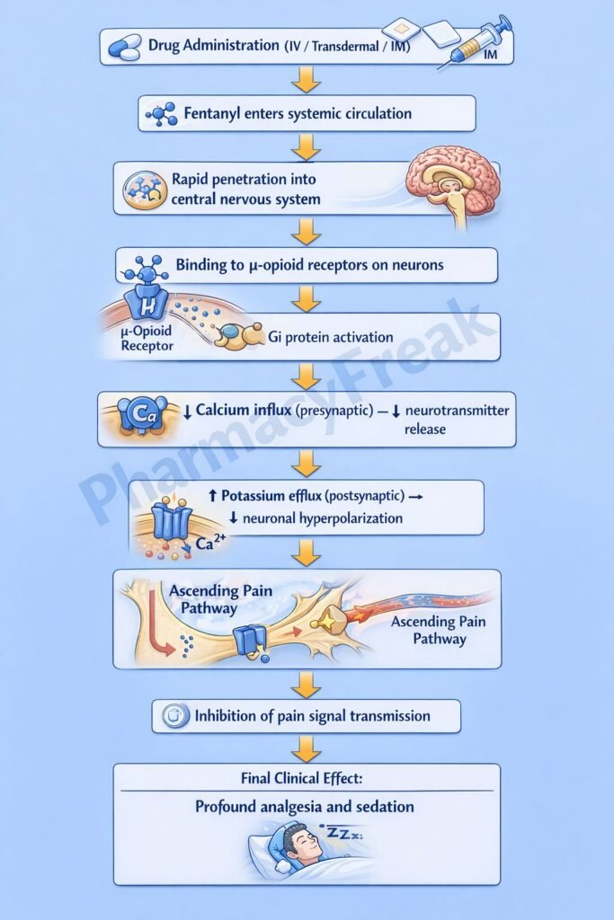 Mechanism of action of drugs flowchart