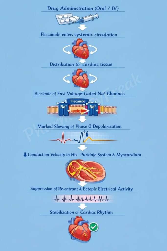 Mechanism of action of drugs flowchart