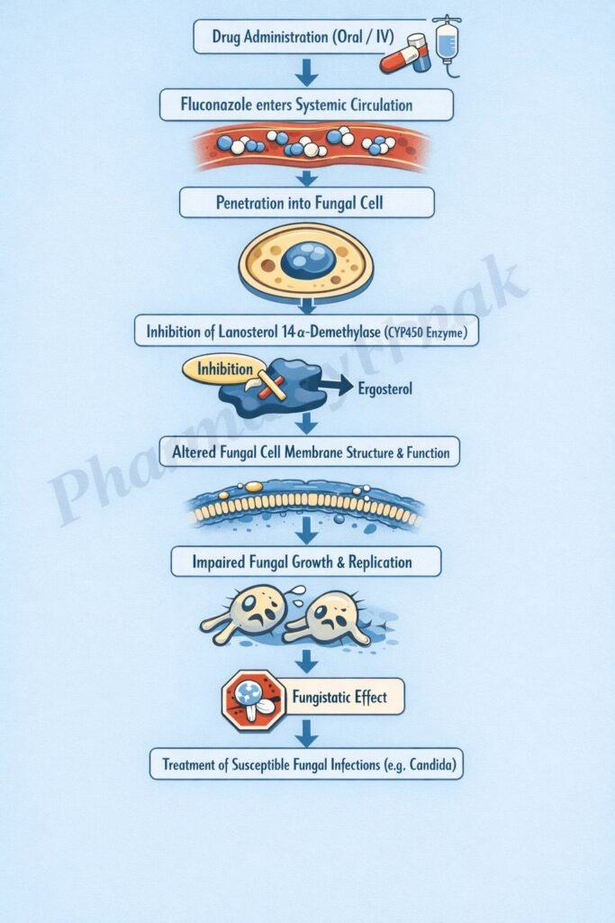Mechanism of action of drugs flowchart