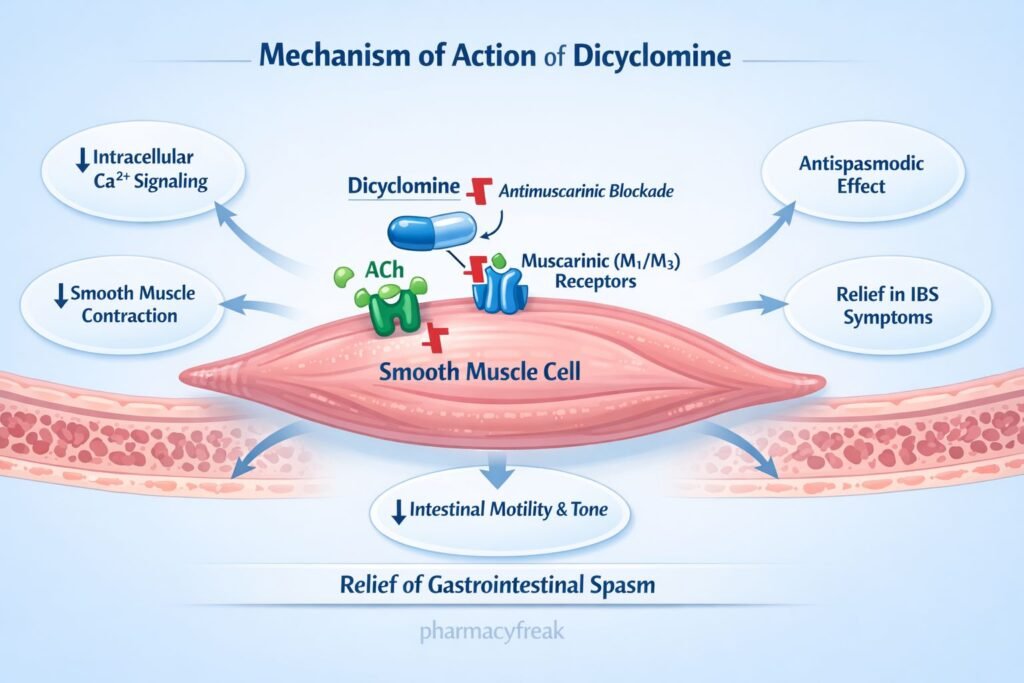 MOA of dicyclomine
