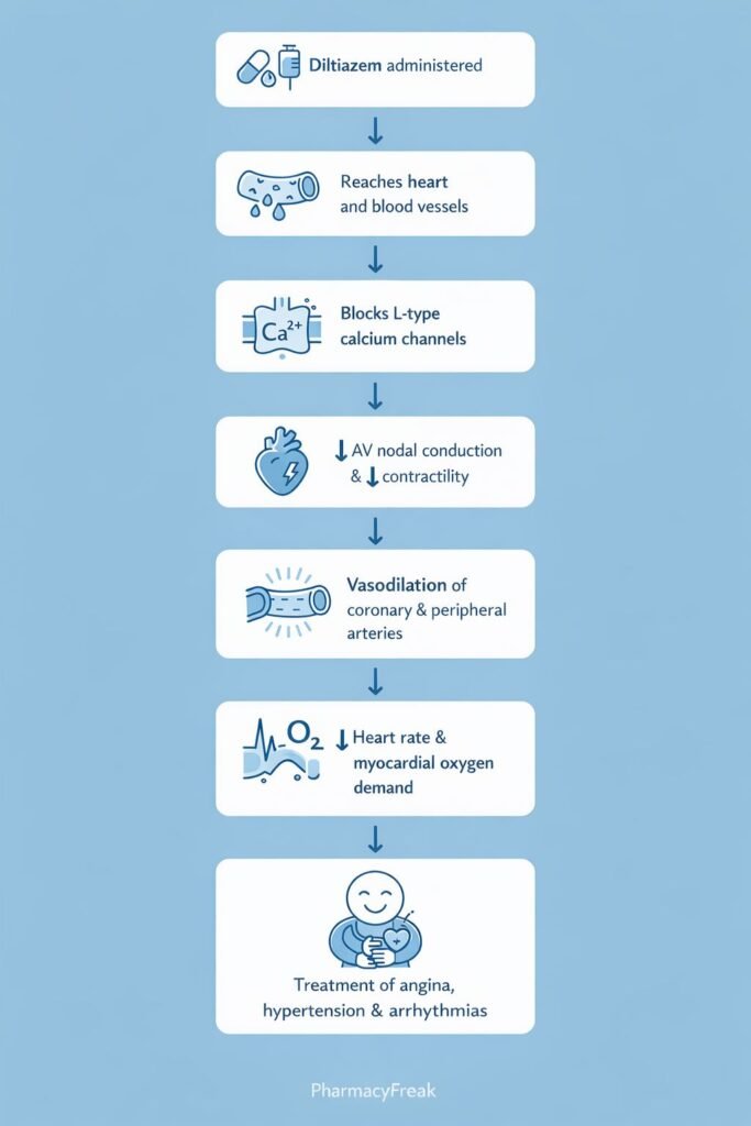 Diltiazem Mechanism of Action Flowchart