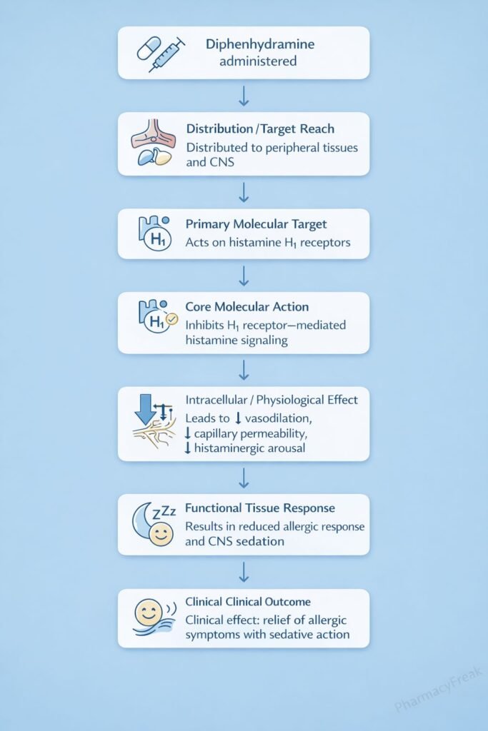Diphenhydramine Mechanism of Action Flowchart