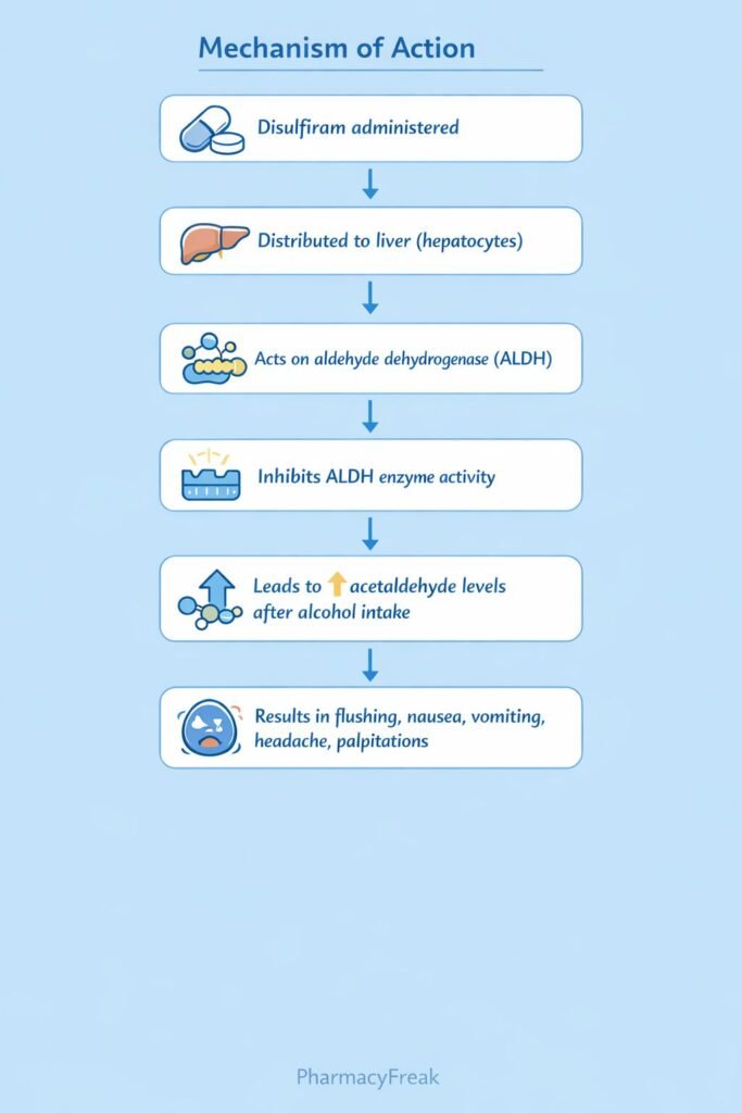 Disulfiram Mechanism of Action Flowchart
