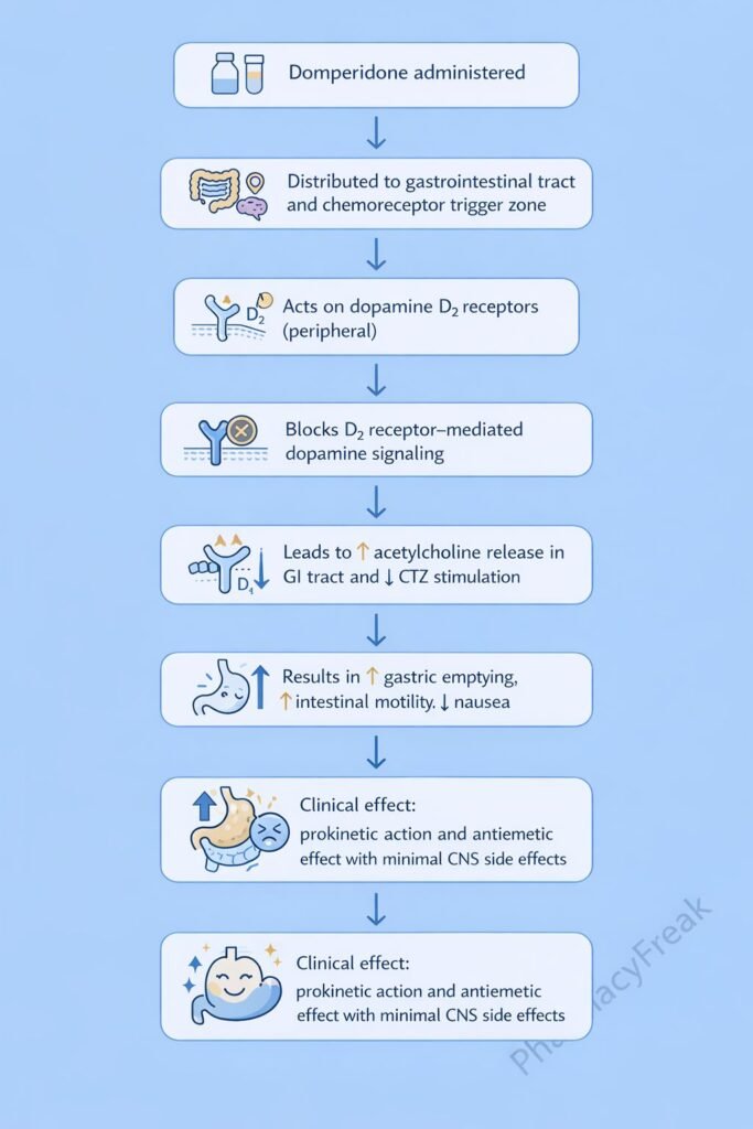 Domperidone Mechanism of Action Flowchart