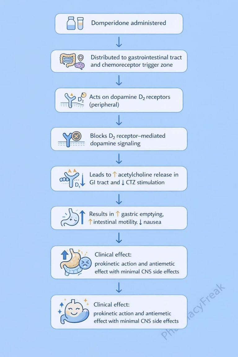 Mechanism of Action of Domperidone