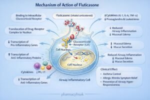 Mechanism of Action of Fluticasone
