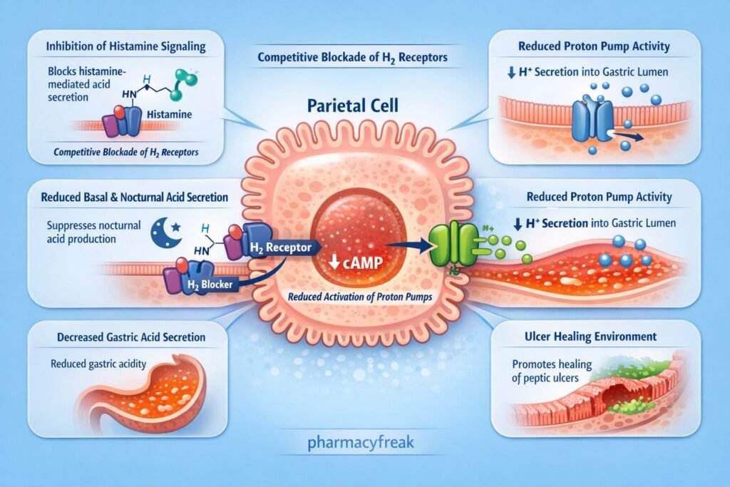 MOA of H2 antagonists