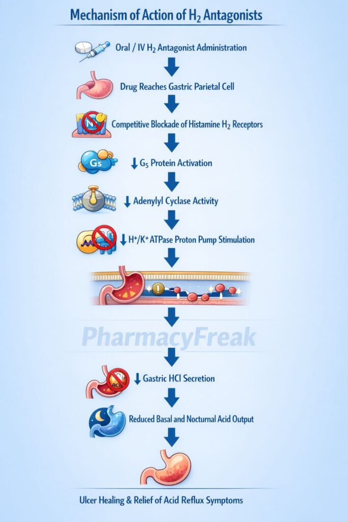 Flowchart of Mechanism of Action of H2 Antagonists