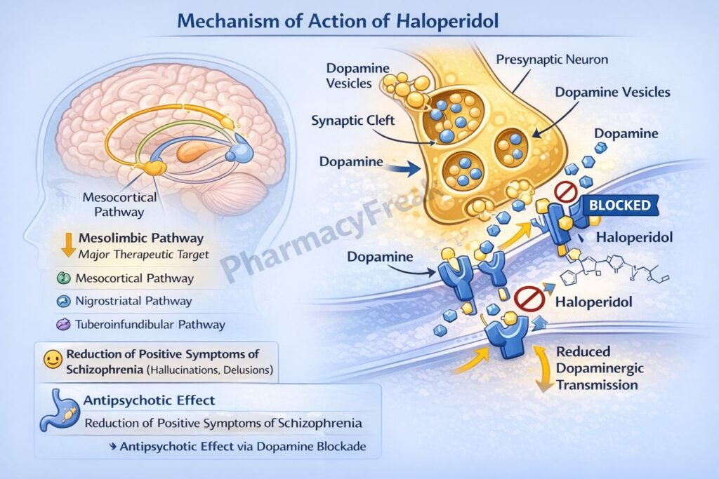 Mechanism of Action of Haloperidol