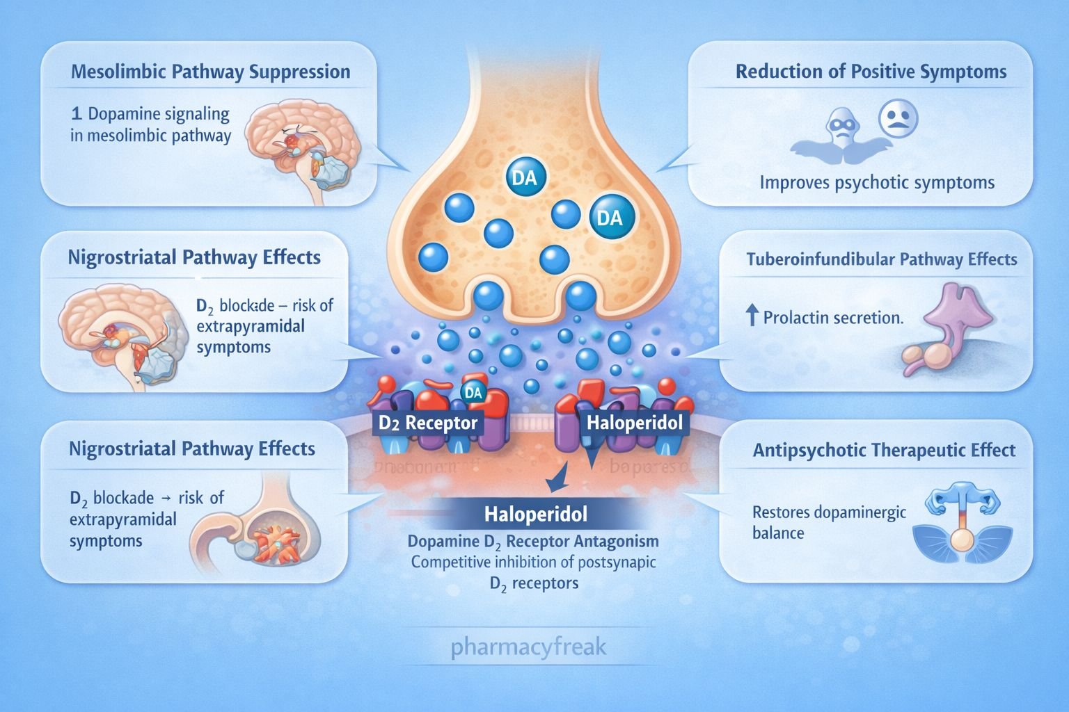 Mechanism of Action of Haloperidol
