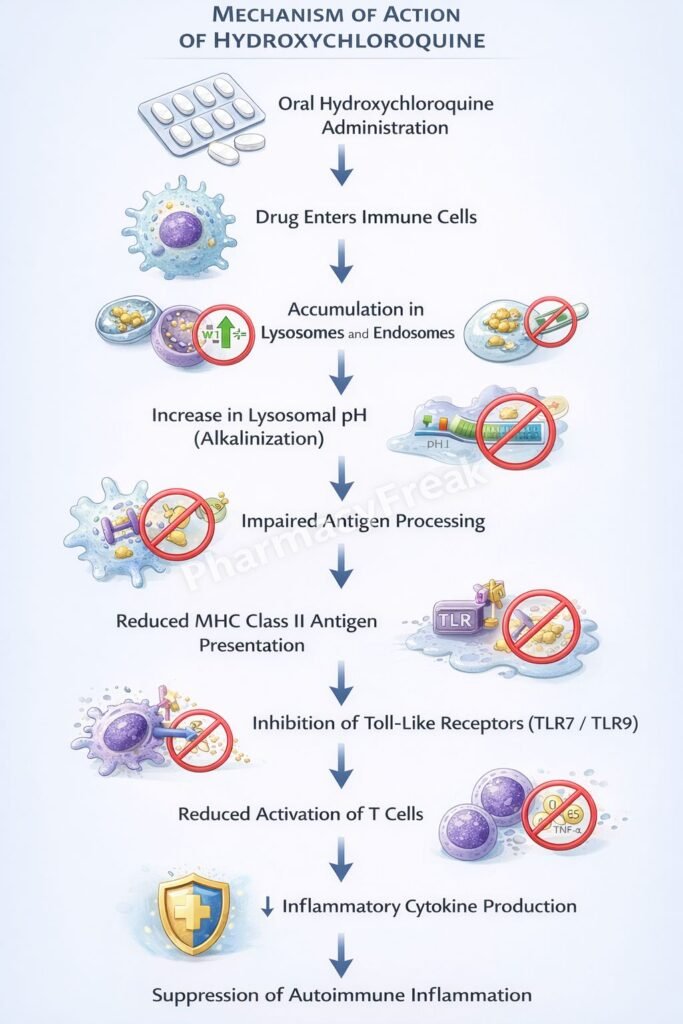 Flowchart of Mechanism of Action of Hydroxychloroquine